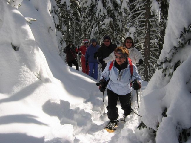  在森林里穿雪鞋 